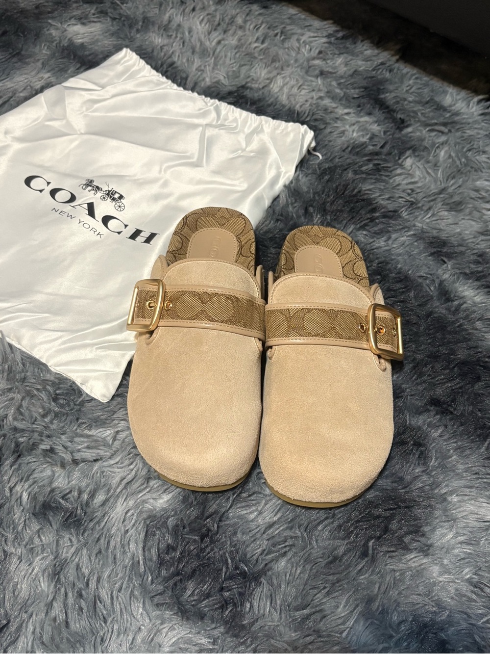 Archival Buckle Clog